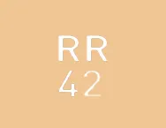 RR42 золотой металлик - Доборные элементы- stynergy.kz - фото 21